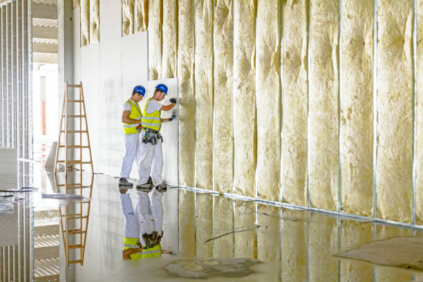 Best Commercial Insulation in Ness City, KS